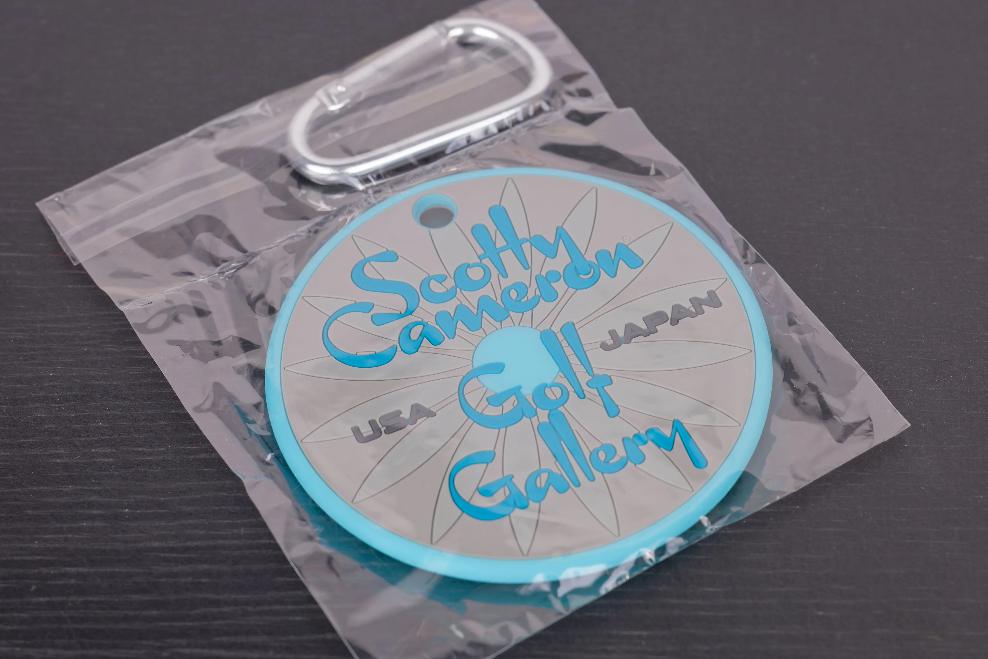 2023 Gallery Putting Disc