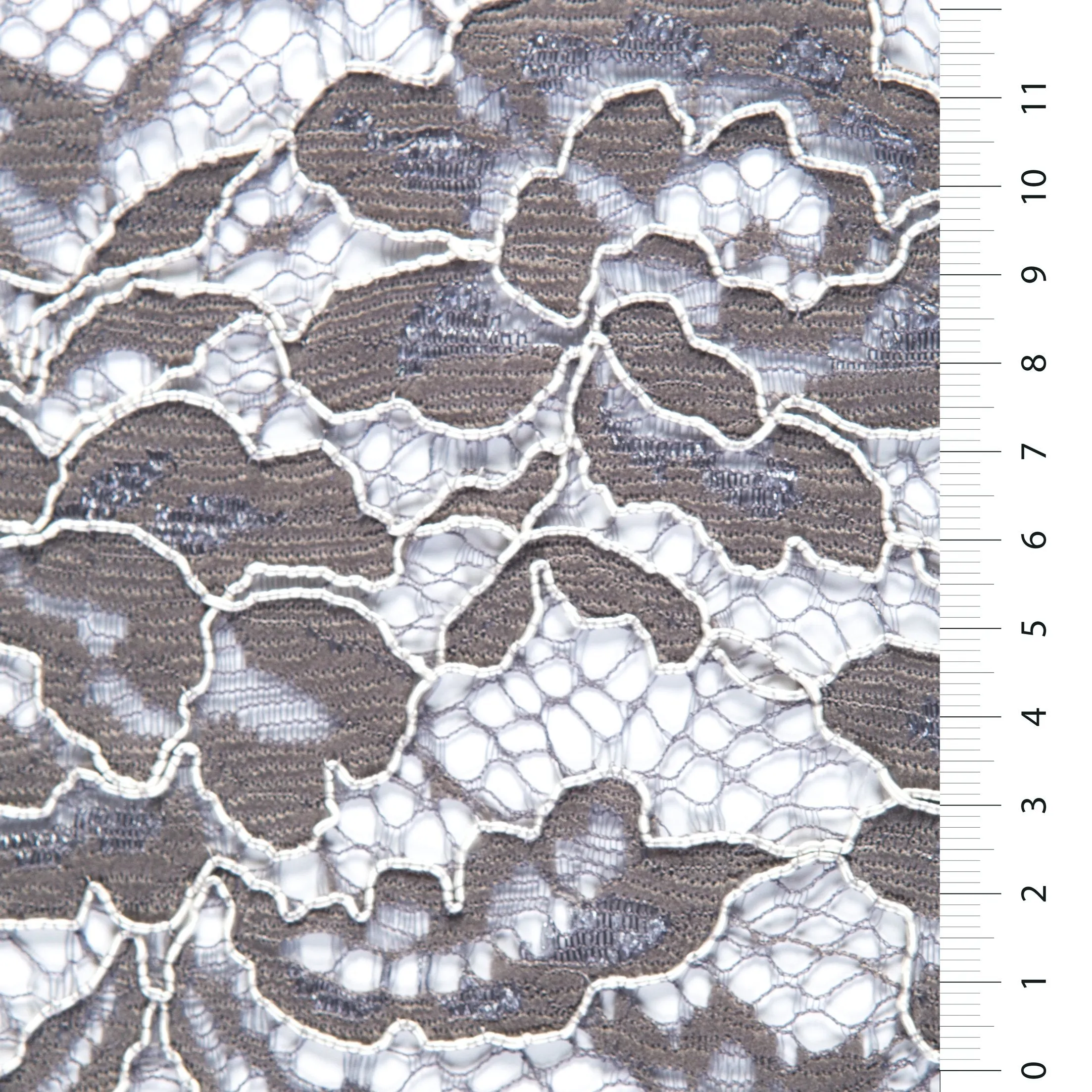 Avignon Style Corded Lace Thread Embroidery Fabric