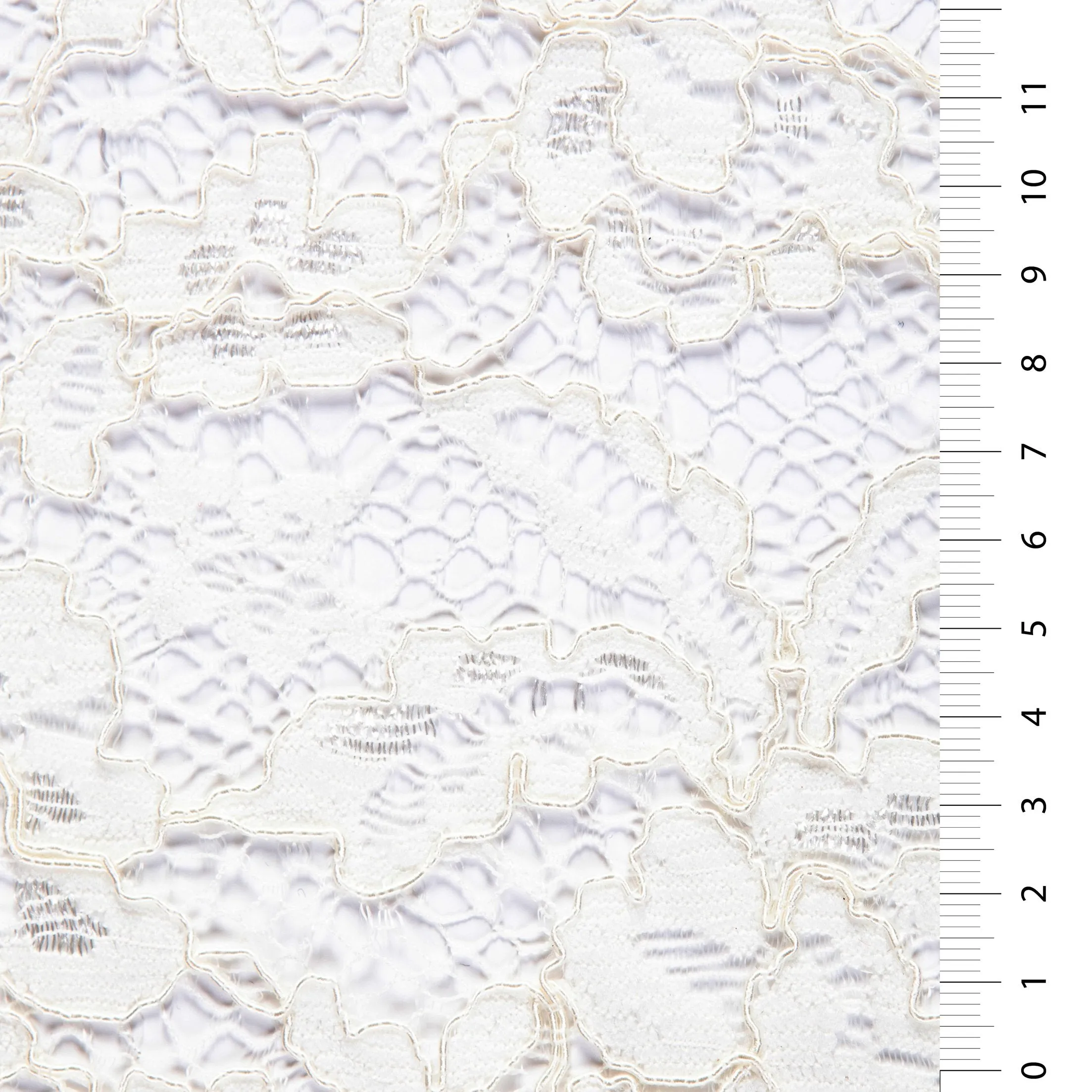 Avignon Style Corded Lace Thread Embroidery Fabric