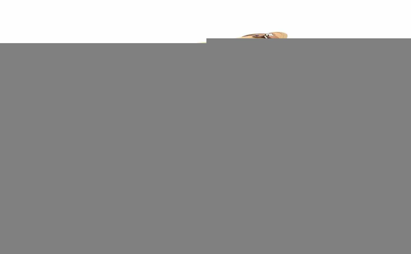 Bag/Case SIP "Classic" Large brown beige RAL 1011 For Rack