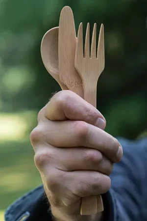 Bambu Cutlery Set
