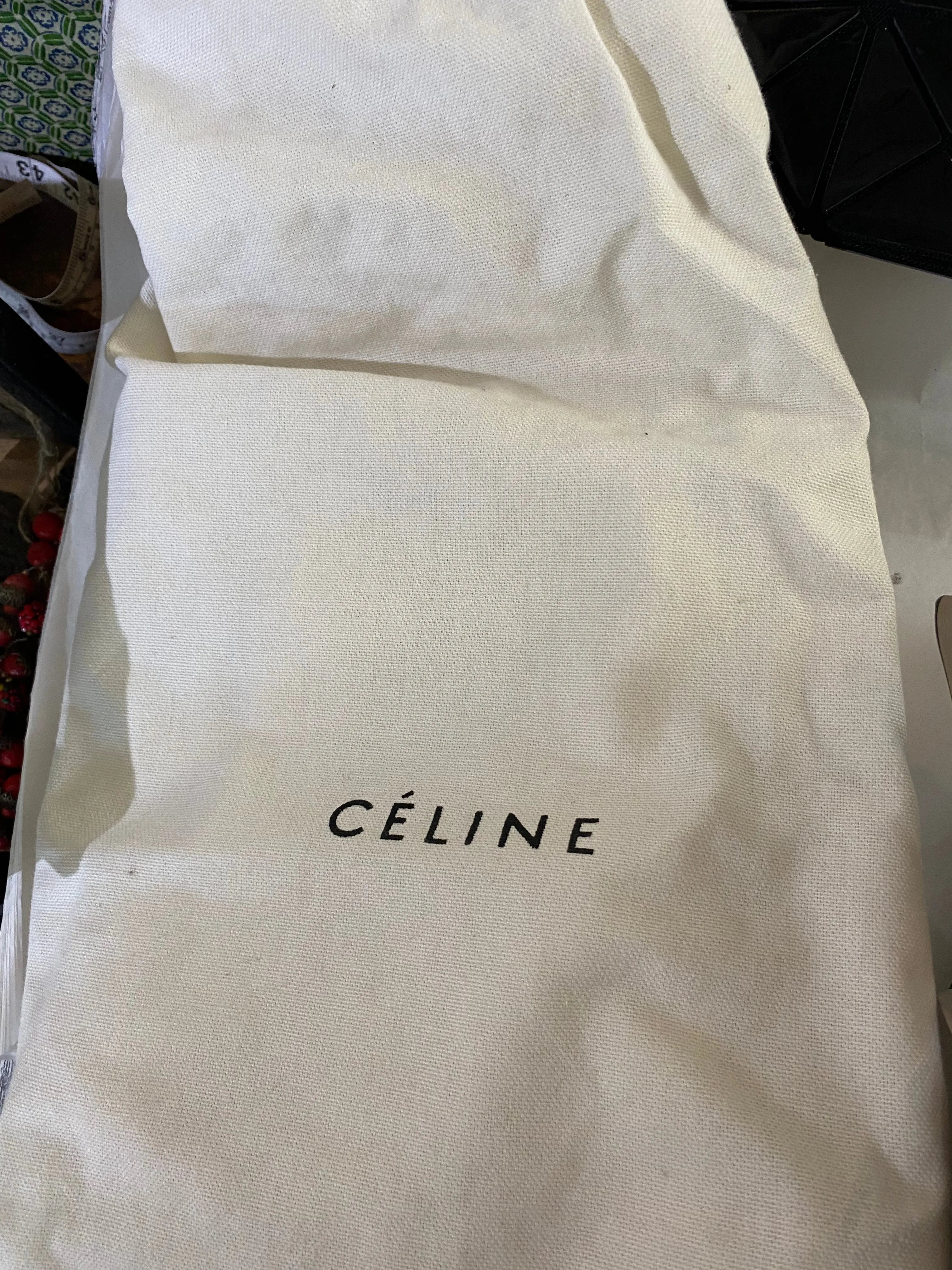Celine Blade Bag in Beige
