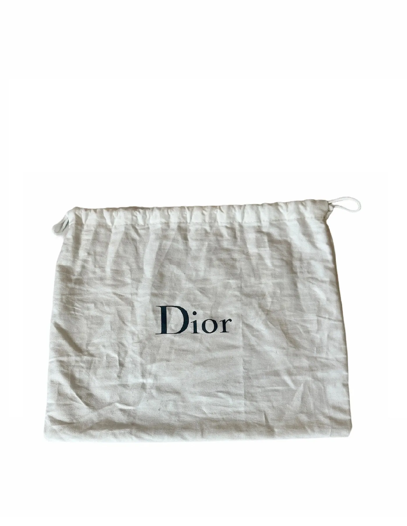 Christian Dior Blue Embroidered Canvas Book Shoulder Strap