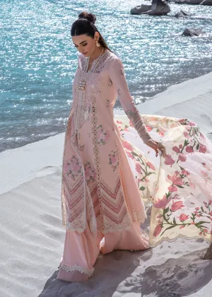 CRIMSON LAWN 2024 | Forget Me Not - Sorbet Pink