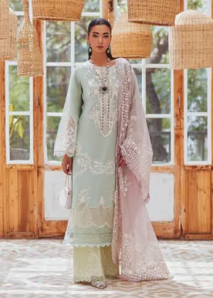 CRIMSON X SAIRA SHAKIRA PRET 2024 | For The love of color