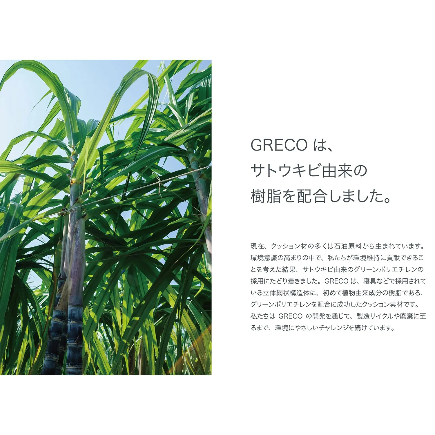 CRONY. | クルニー　× GRECO Roll Backpack