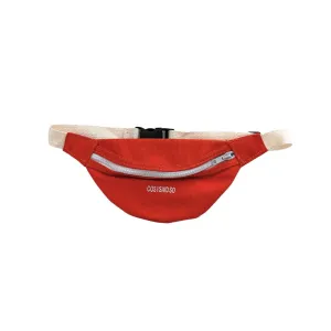 FANNY PACK  orange