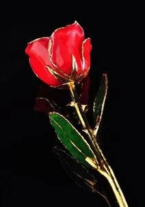 Gold Trimmed Rose (8 options)