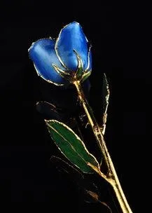 Gold Trimmed Rose (8 options)
