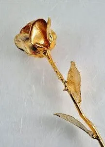 Gold Trimmed Rose (8 options)