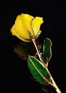 Gold Trimmed Rose (8 options)