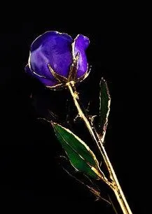 Gold Trimmed Rose (8 options)