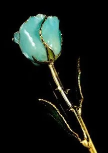 Gold Trimmed Rose (8 options)