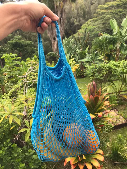 Grocery Net Bag - Long Handle