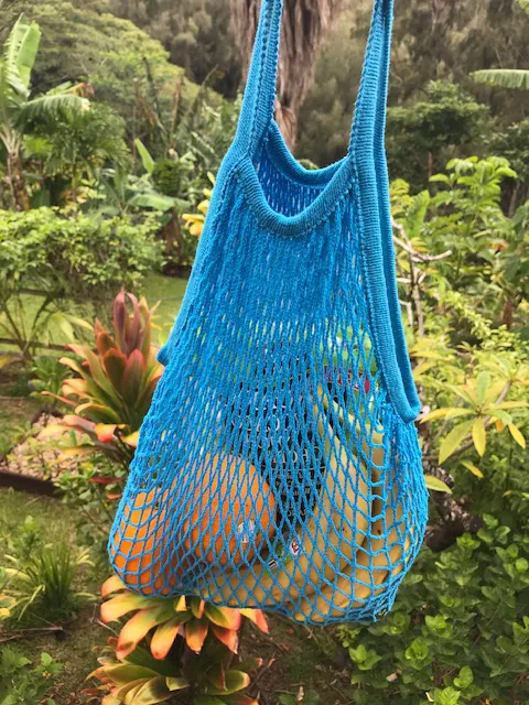 Grocery Net Bag - Long Handle