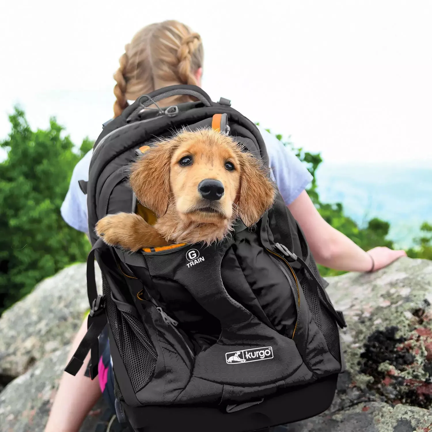 Kurgo G-train K9 Rucksack for Small Dogs