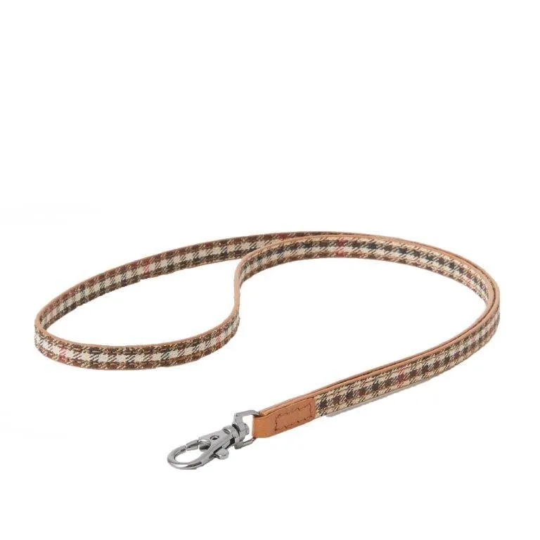 Lanyard