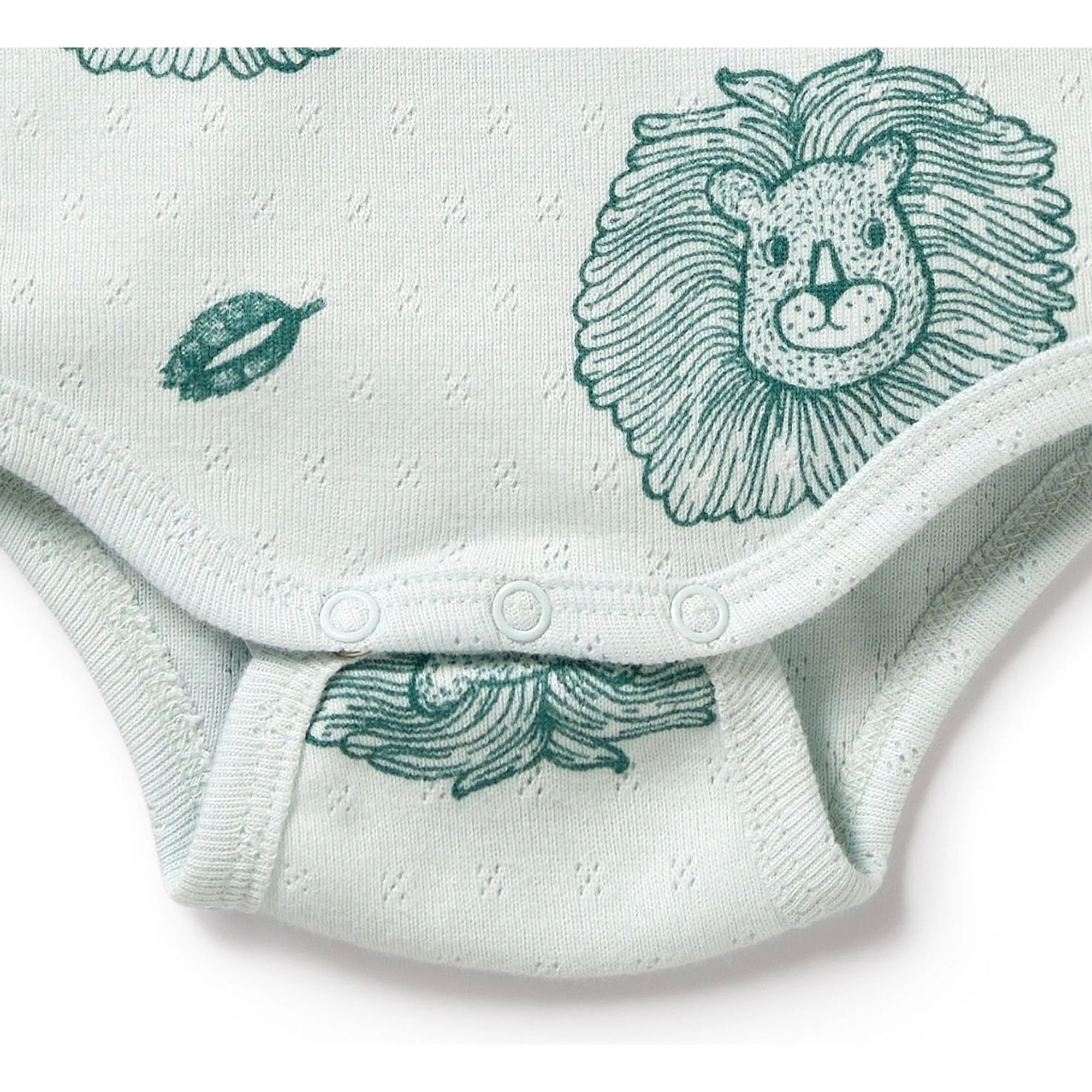 Little Lion Organic Pointelle Bodysuit