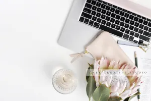 Protea, Wine & Laptop