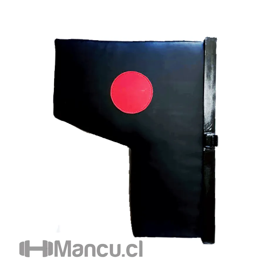 Punching Bag WALL PU
