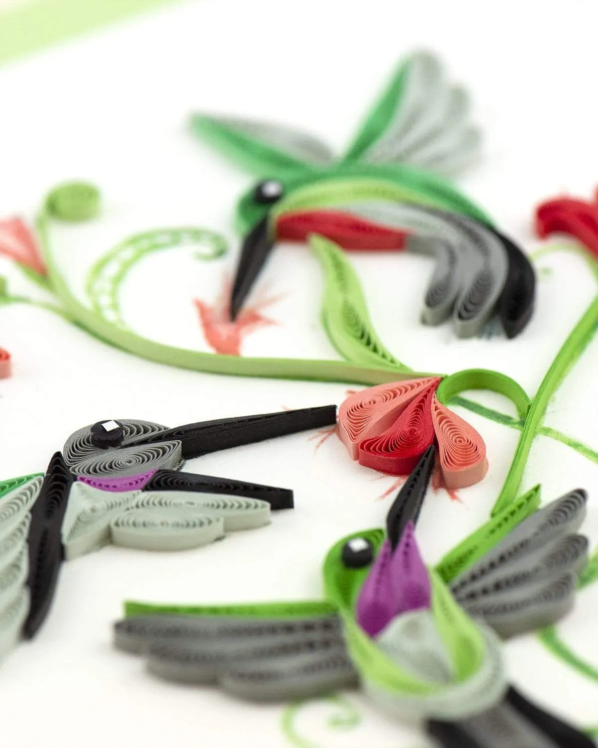 Quilled Hummingbird Trio Greeting Card