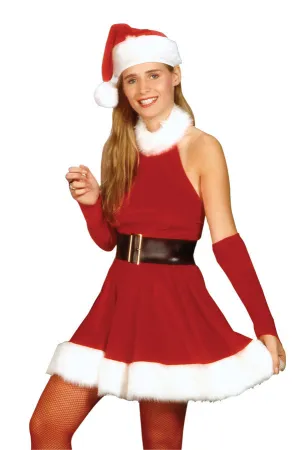 Santa's Inspiration Adult Women's Costume