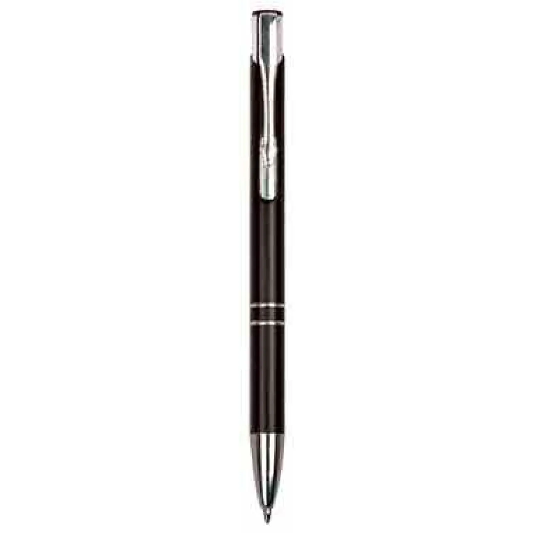 Silver-Trimmed Pen
