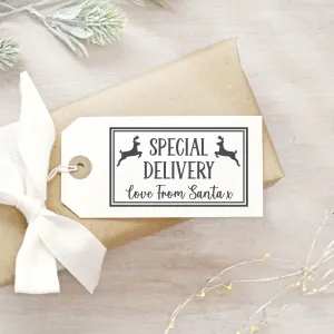 Special Delivery From Santa Christmas Stamp
