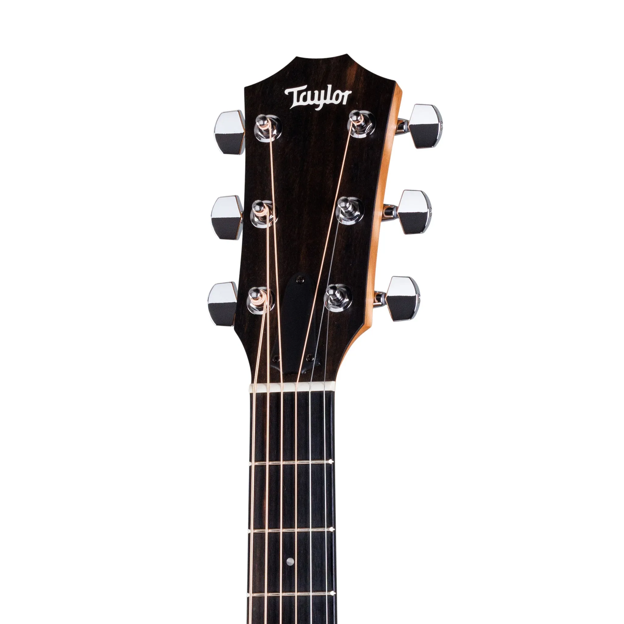Taylor 212ce Grand Concert Walnut/Spruce Acoustic Guitar w/Case