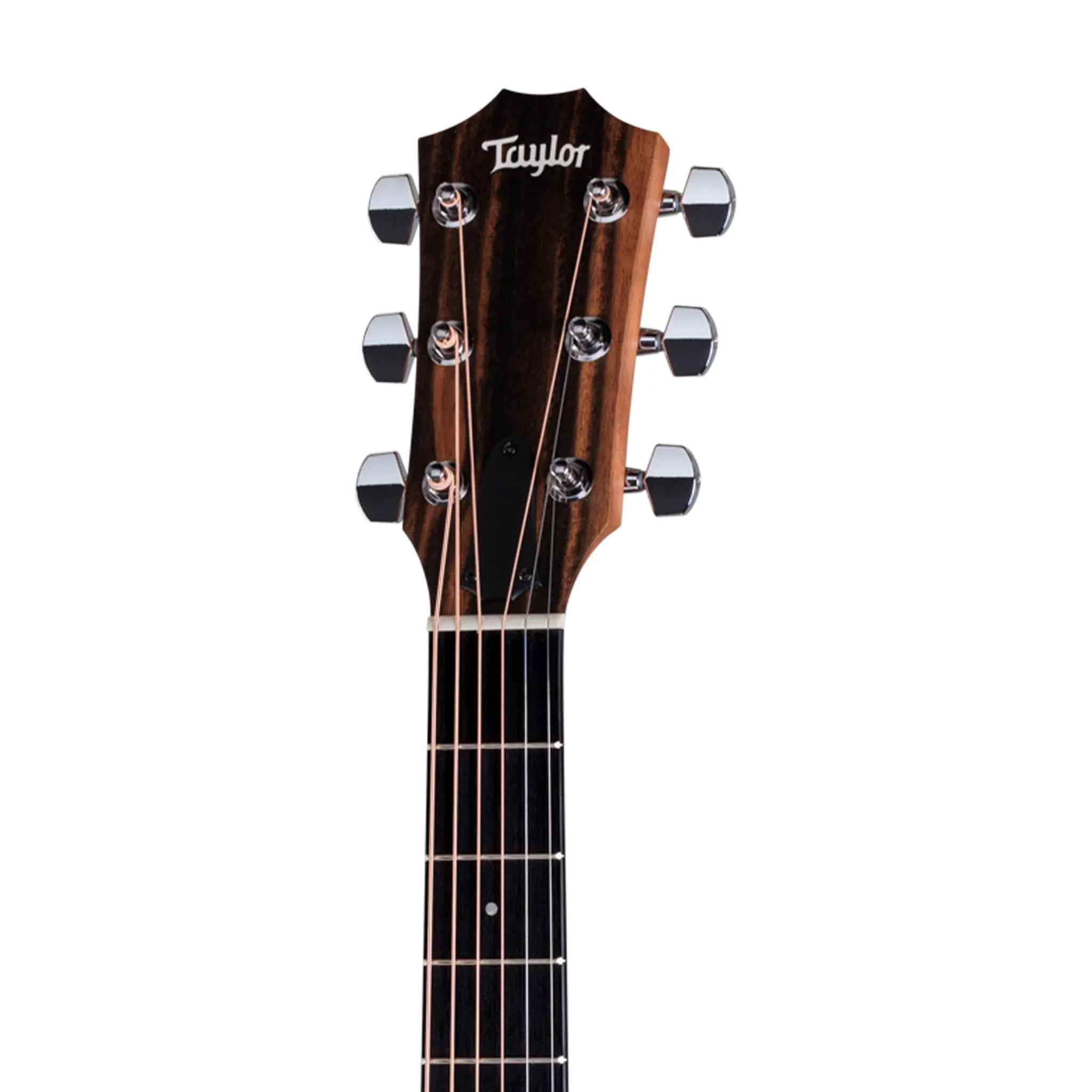 Taylor 214ce Walnut/Spruce Grand Auditorium Acoustic Guitar w/Gig Bag