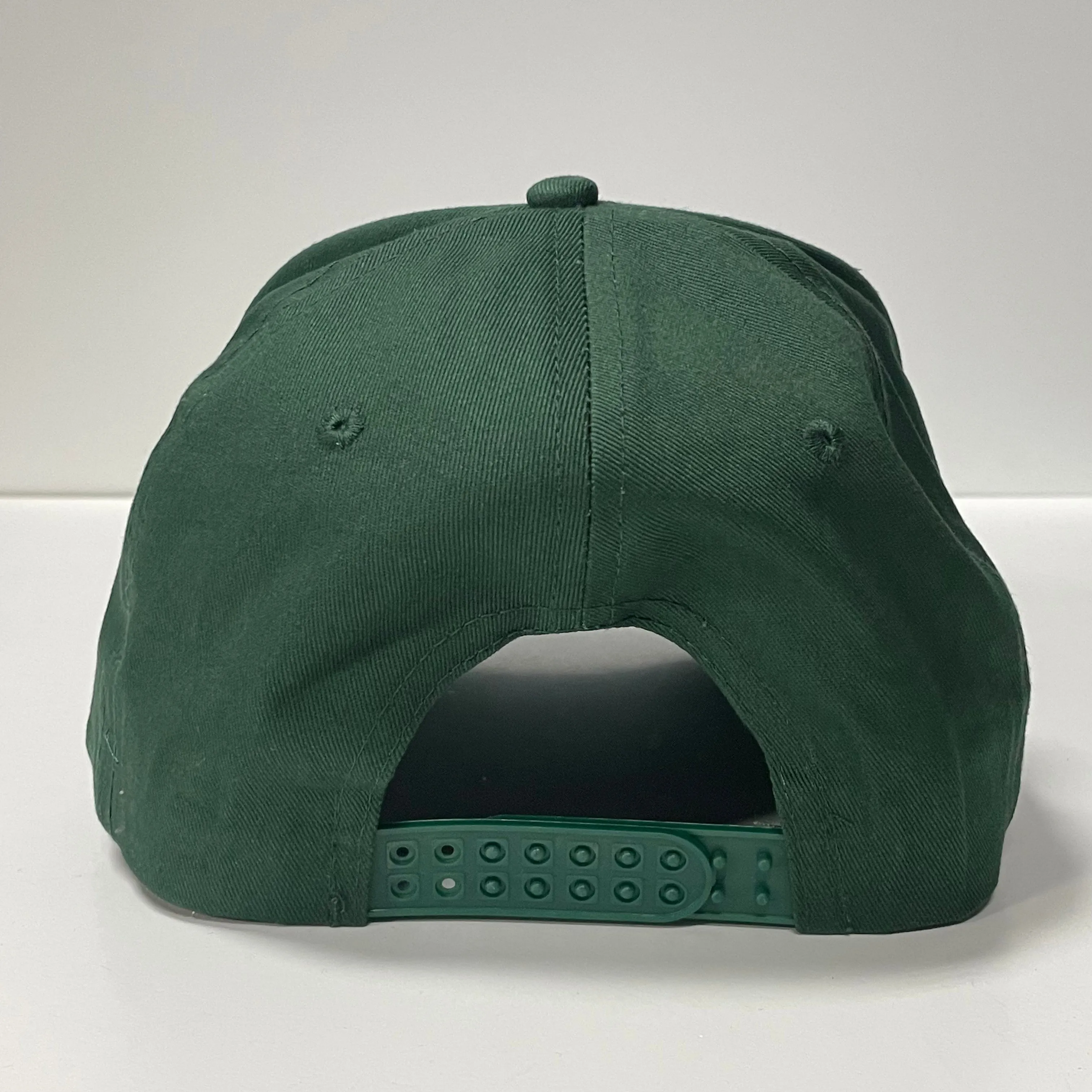 The government can take my guns they will not take my cigarettes funny custom embroidered SnapBack green trucker