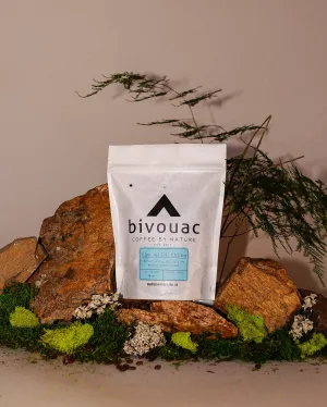 THE WILD THING - Medium Roast Blend