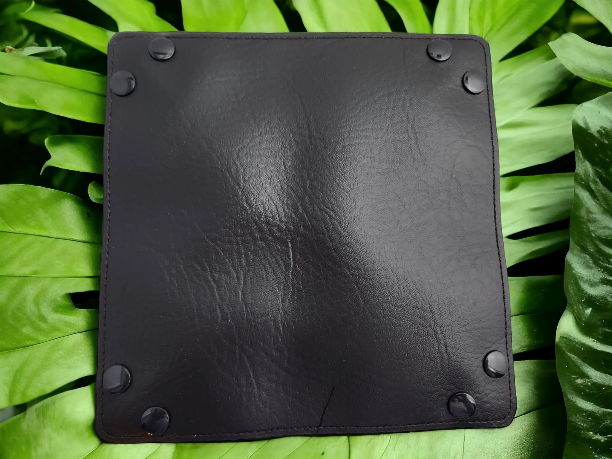 Tiger dice tray