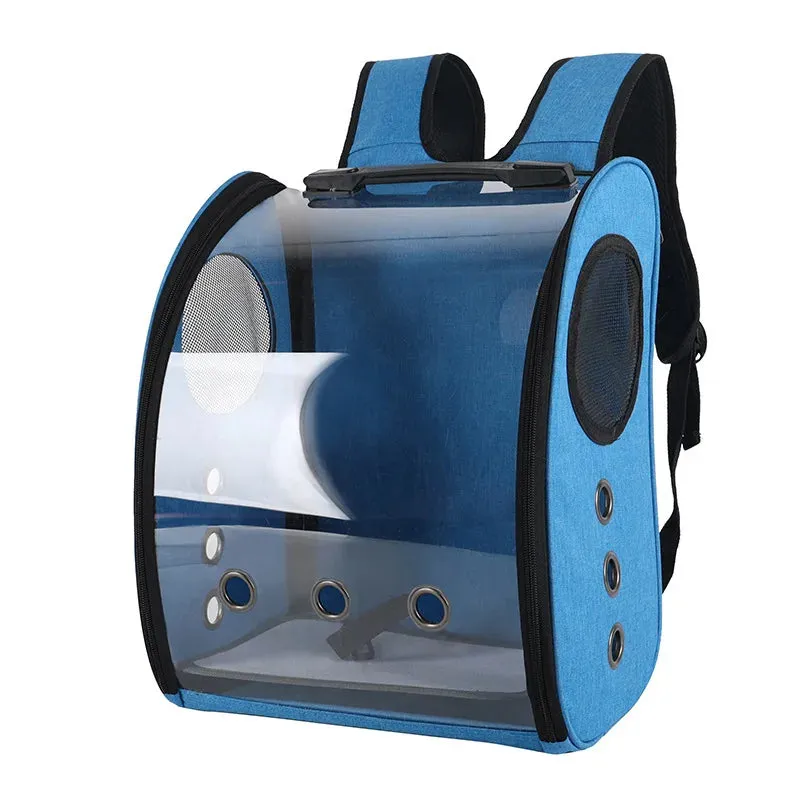 Transparent Carrier Backpack