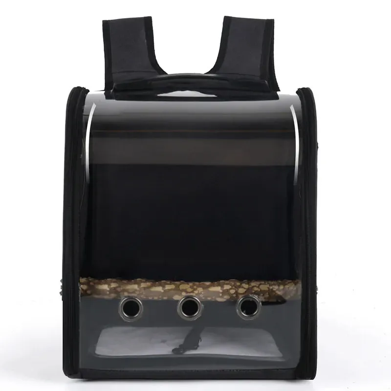 Transparent Carrier Backpack