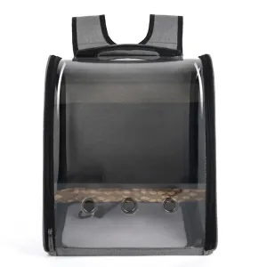Transparent Carrier Backpack