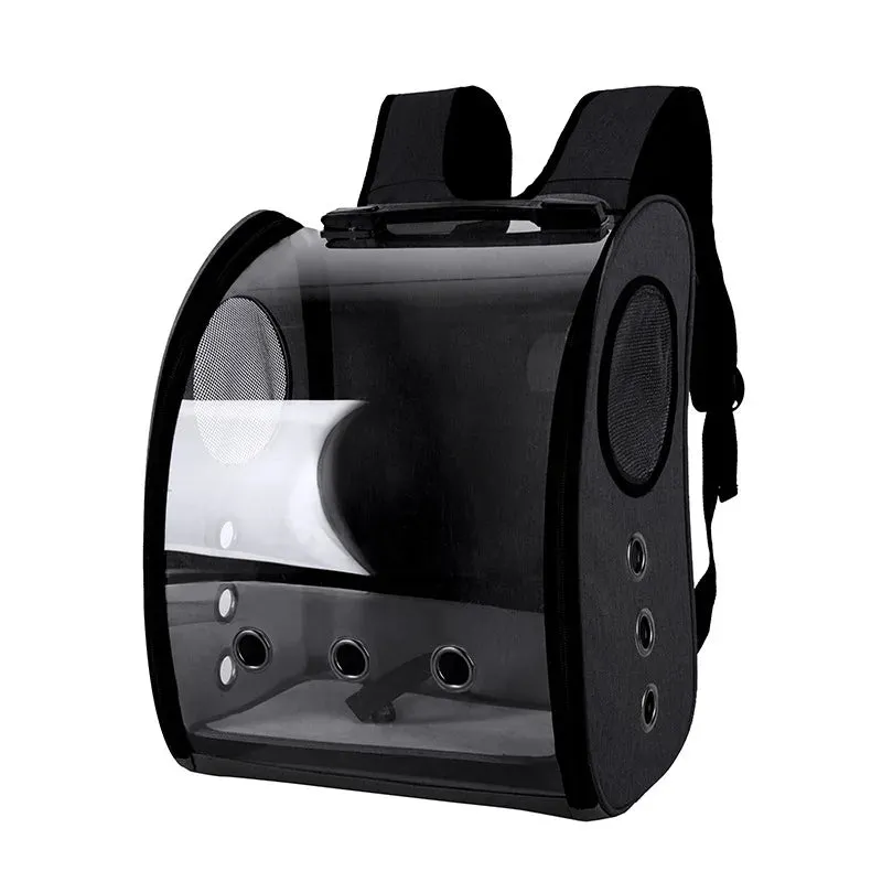 Transparent Carrier Backpack