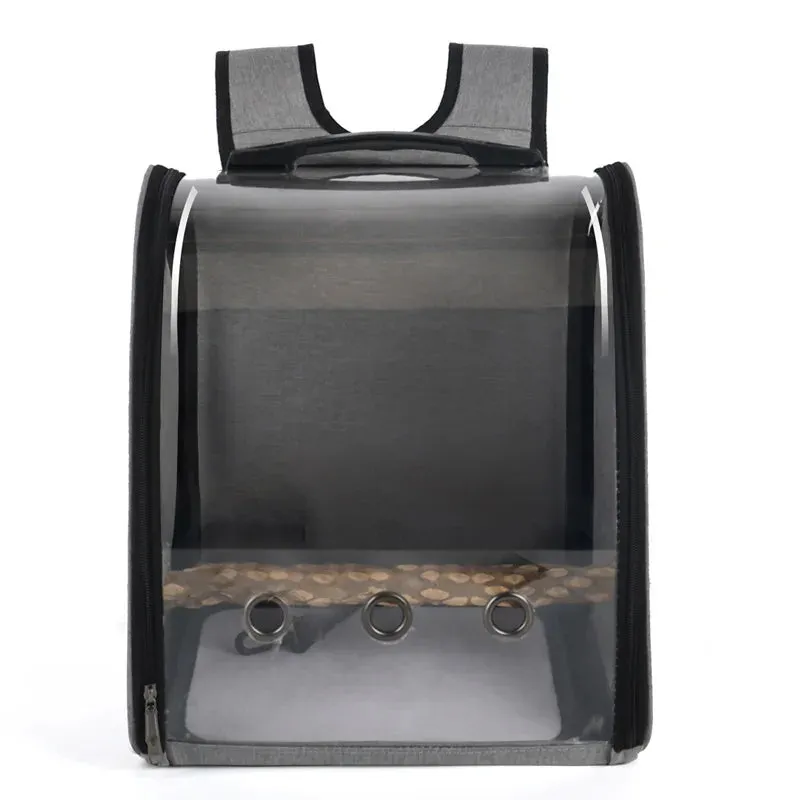 Transparent Carrier Backpack