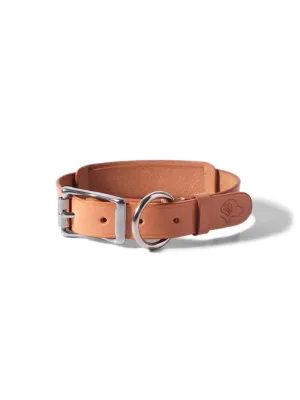 Voyej Dog Collar Natural