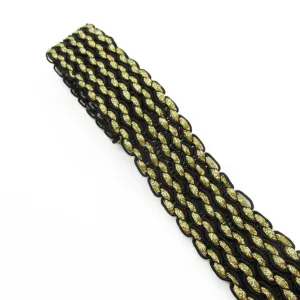 Wavy Corded And Lurex Trimmed Braid 35mm 7613
