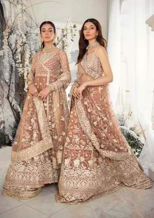 Wedding Festive '22 - Look 03 |  AIK Atelier Wedding Festive Unstitched Luxury Collection 2022 | Embroidered Net Organza Suits